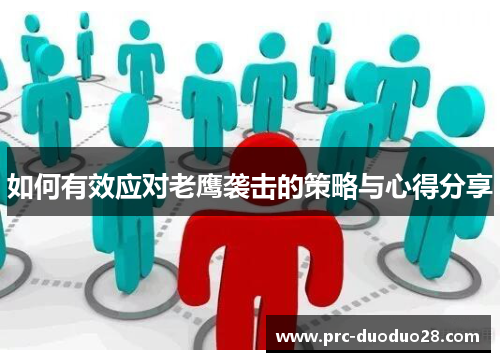 如何有效应对老鹰袭击的策略与心得分享